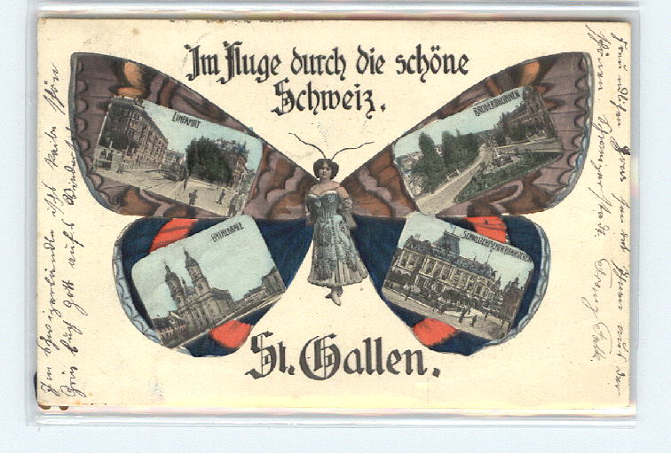 10546657 St Gallen SG Schmetterling im Fluge St. Gallen St Gallen