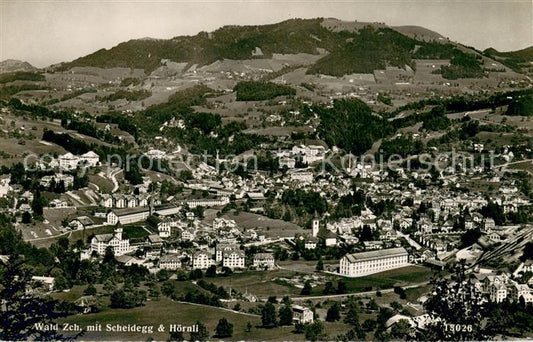 13710817 Wald ZH Fliegeraufnahme mit Scheidegg und Hoernli Wald ZH