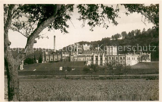 13708996 Rheinfelden AG Brasserie Feldschloesschen Rheinfelden AG