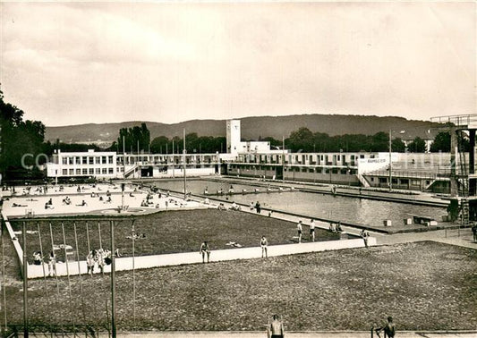 13728369 Basel BS Piscine Eglisee Basel BS