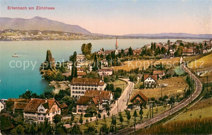 13736491 Erlenbach ZH Panorama sur le lac de Zurich