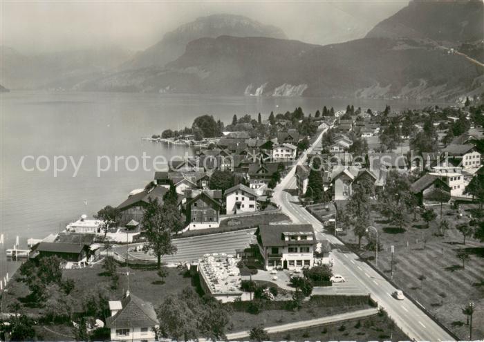 13737529 Beckenried Vierwaldstaettersee Fliegeraufnahme