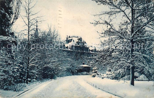 13792929 Zuerich ZH Jeu dans la neige Zuerich ZH