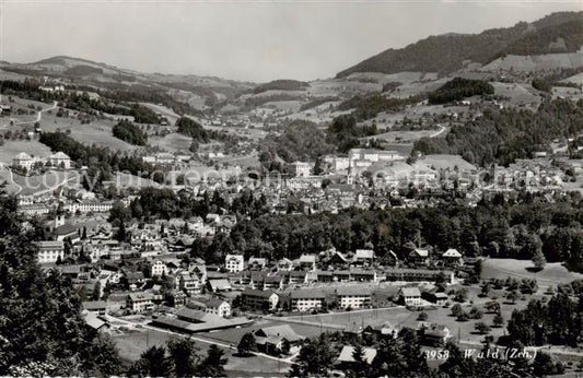 13794472 Wald ZH Gesamtansicht Wald ZH