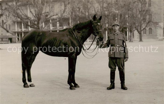 13794473 Aarau AG Soldat avec cheval Aarau AG