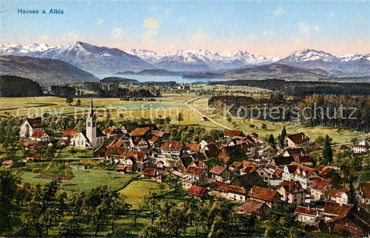 13797440 Hausen Albis Panorama Chaîne alpine Hausen Albis