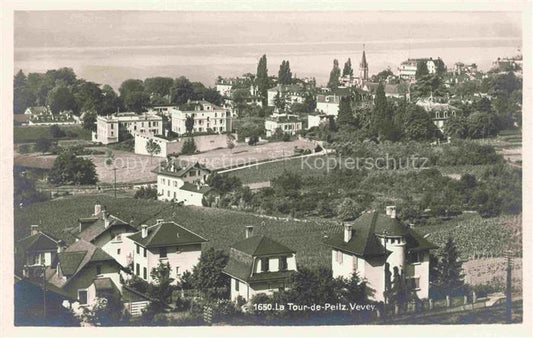 14015324 La Tour-de-Peilz VD Panorama