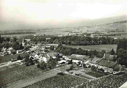 14019531 Bursinel roll VD Vue aérienne