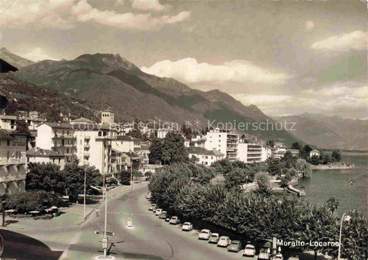 14008239 Muralto Locarno Lago Maggiore TI Panorama