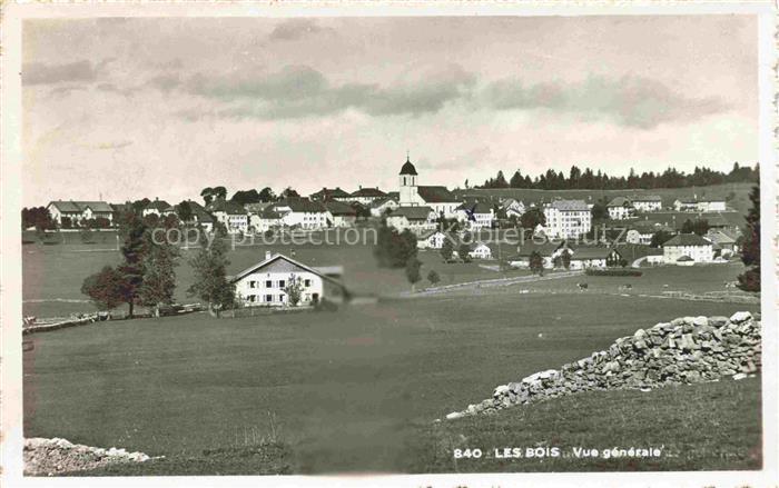 14008825 Les-Bois JU Vue générale