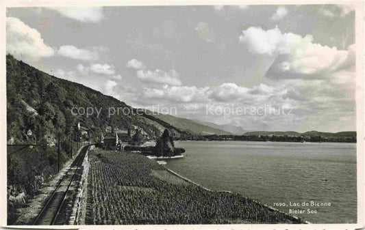 14008889 Bielersee Lac de Bienne BE Eisenbahn Uferregion