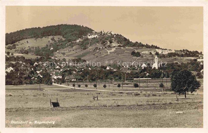 14021573 Dielsdorf ZH à Regensberg