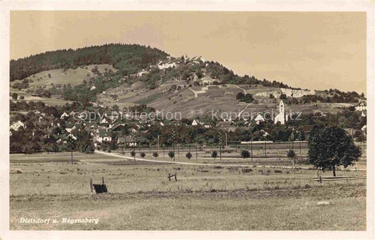 14021573 Dielsdorf ZH mit Regensberg