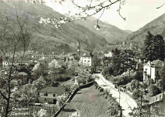 14022872 Cavigliano LOCARNO TI Panorama