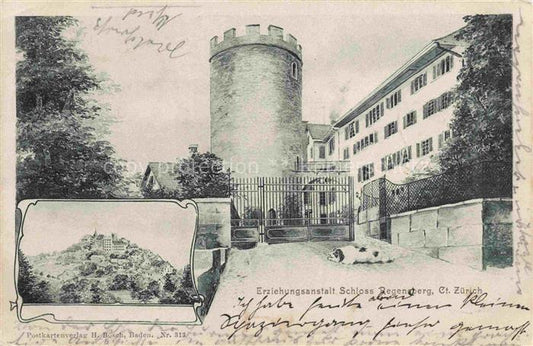 14024943 Regensberg Dielsdorf ZH Erziehungsanstalt Schloss Regensberg