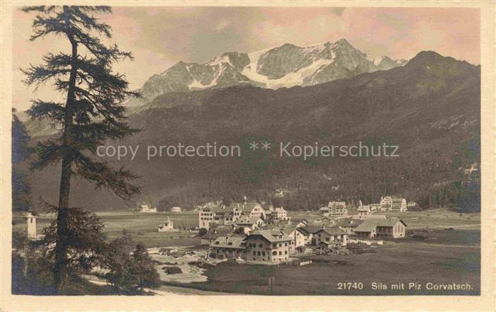 14031964 Sils Domleschg GR mit Piz Corvatsch