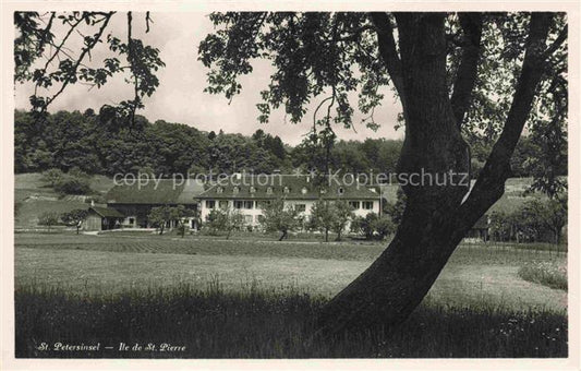 14032562 St Petersinsel Sankt Petersinsel Erlach BE Teilansicht