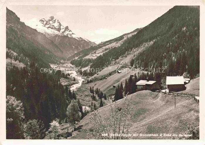 14033163 Safien GR mit Bruschkhorn und Blick ins Safiental