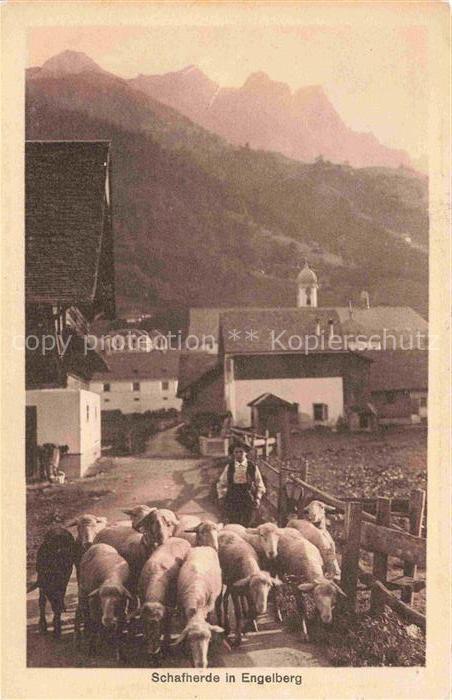 14033441 Engelberg  OW Dorfmotiv mit Schafherde