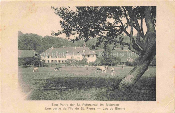 14034107 Bielerseeinsel Lac de Bienne BE Eine Partie der St Petersinsel