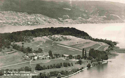 14034848 Bielerseeinsel Lac de Bienne BE Vue aerienne