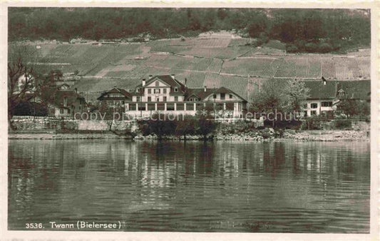 14035036 Twann Nidau BE am Bielersee Hoel Baeren