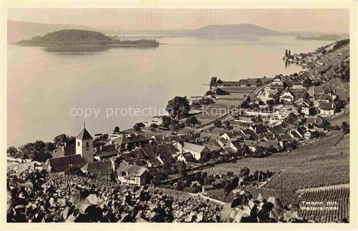 14035038 Twann Nidau BE Panorama mit St Petersinsel