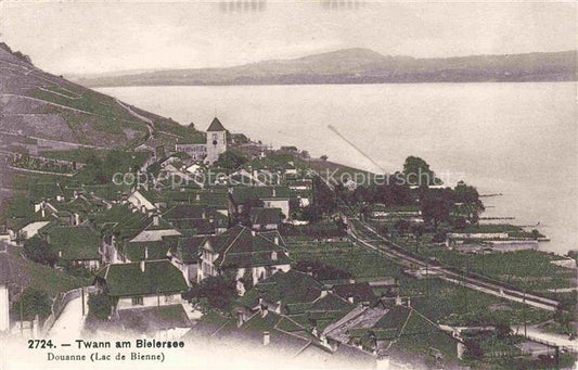 14035041 Twann Nidau BE am Bielersee Panorama