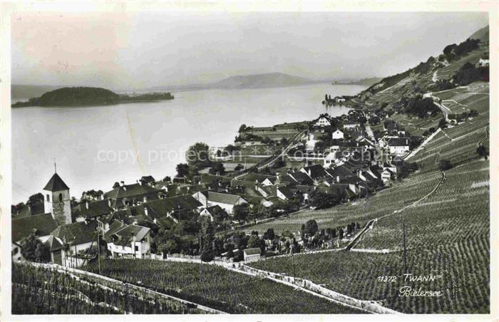 14035044 Twann Nidau BE am Bielersee Panorama mit St Petersinsel