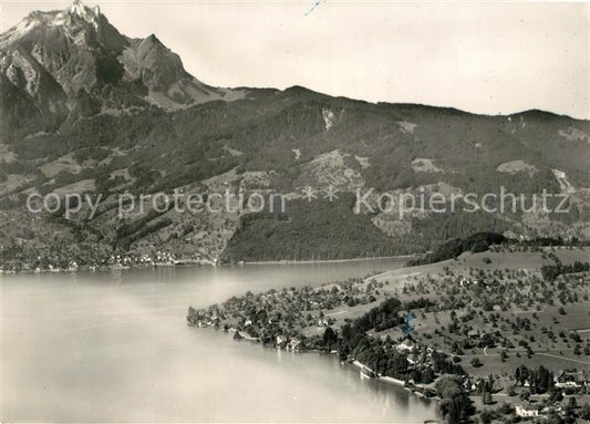 13199727 Photographie aérienne du châtaignier Châtaignier Pilatus