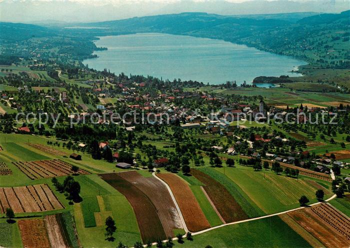 13312677 Hallwilersee Fliegeraufnahme Hallwilersee