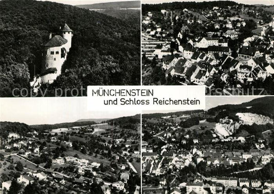 13316890 Muenchenstein Fliegeraufnahme mit Schloss Reichenstein Muenchenstein