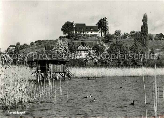 13525907 Waedenswil Auberge de campagne sur la presqu'île du lac de Zurich Au Waedenswil