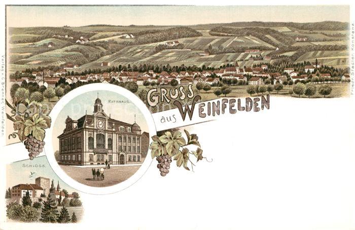 13558768 Hôtel de ville de Weinfelden Château de Weinfelden