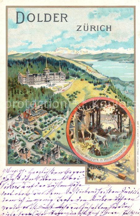 13559819 Zuerich ZH Dolder Grand parc animalier avec restauration forestière Zuerich ZH