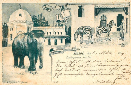 13567010 Jardin zoologique de Bâle BS Maison des éléphants Bâle BS