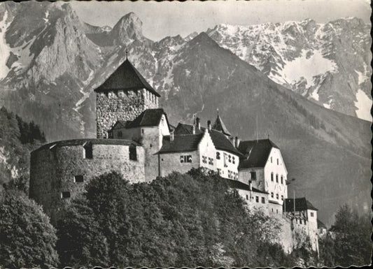 71031806 Vaduz Schloss