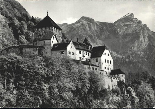 71036932 Vaduz Schloss