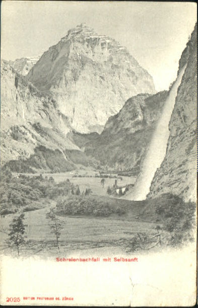 10547588 Schreienbachfall Schreienbachfall Selbsanft ungelaufen ca. 1910 Schreie