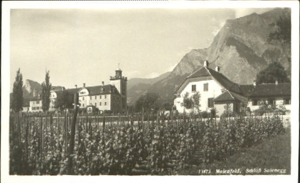 10547637 Maienfeld Maienfeld Schloss Salenegg x 1940 Maienfeld