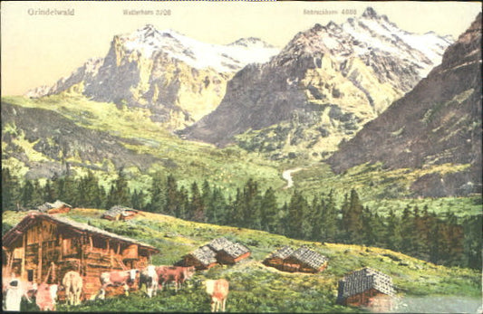 10547670 Grindelwald Grindelwald  ungelaufen ca. 1910 Grindelwald