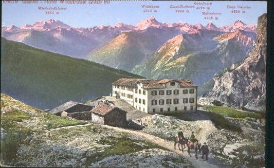 10547710 Gemmipass Wallis Gemmi Hotel ungelaufen ca. 1910 Gemmipass  Wallis