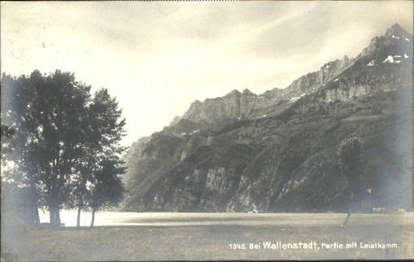 10547781 Wallenstadt Wallenstadt  x 1916 Walenstadt