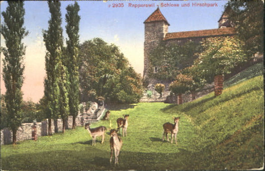 10547809 Rapperswil SG Rapperswil Schloss x 1916 Rapperswil SG