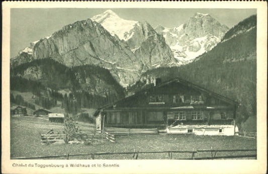 10547812 Wildhaus SG Wildhaus Chalet ungelaufen ca. 1920 Wildhaus