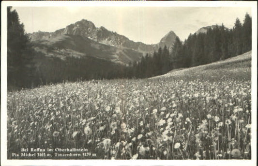 10548022 Oberhalbstein Roffna Oberhalbstein o 1930 Tiefencastel