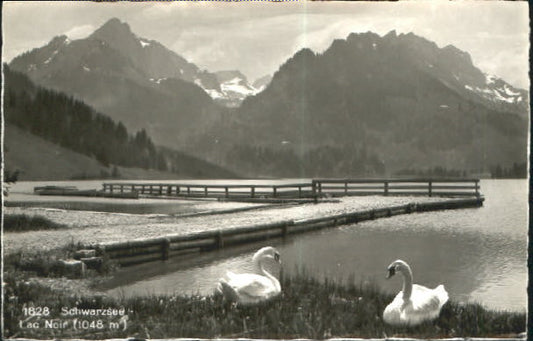 10548798 Schwarzsee Schwarzsee   o 1942