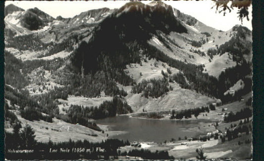 10549657 Schwarzsee Schwarzsee Feldpost x 1944