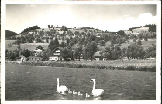 10550035 Unteraegeri aegerisee  x 1940 Unteraegeri