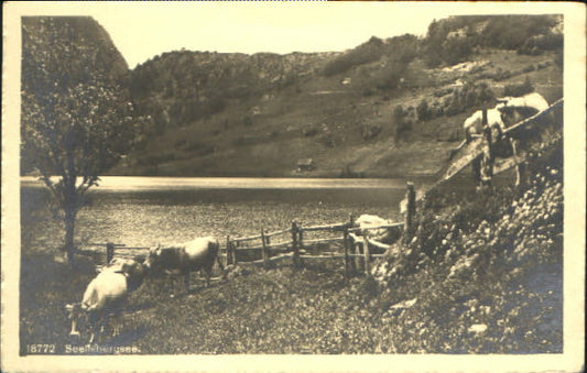 10550877 Seelisbergsee Seelisbergsee  x 1918 Seelisbergsee